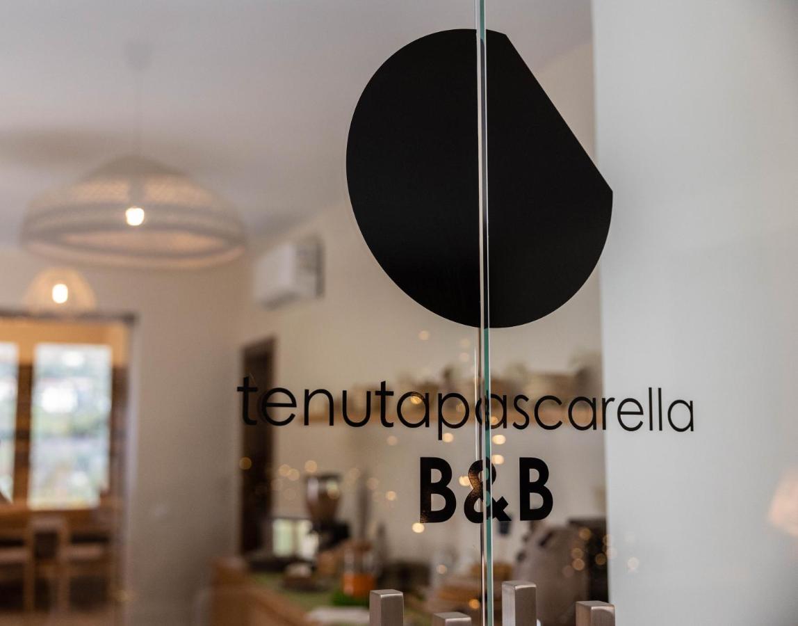 Tenuta Pascarella Bed & Breakfast Frasso Telesino Exterior foto